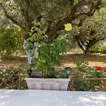 Sea & Olives House Holiday home Lixouri