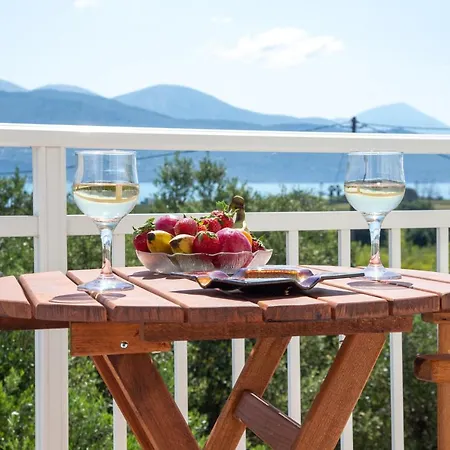 Sea & Olives House *