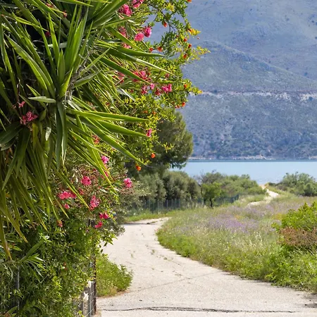 Sea & Olives House * Ληξούρι