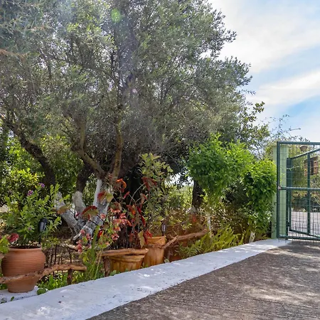 Σπίτι διακοπών Sea & Olives House *