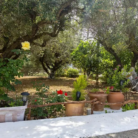 Σπίτι διακοπών Sea & Olives House