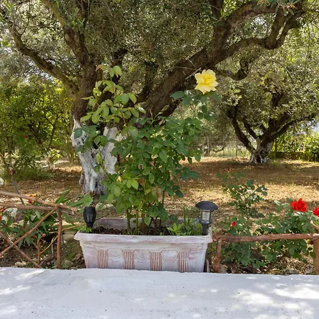 Sea & Olives House Holiday home Lixouri