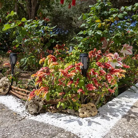 Sea & Olives House Σπίτι διακοπών Ληξούρι