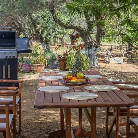 Holiday home Sea & Olives House Lixouri