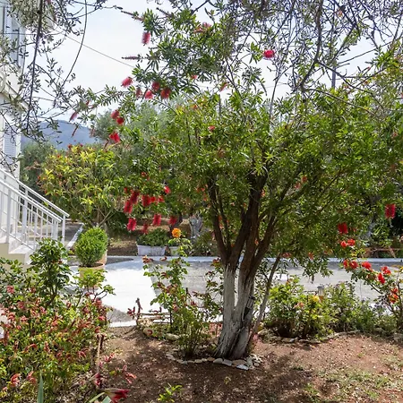 Sea & Olives House 里科索翁