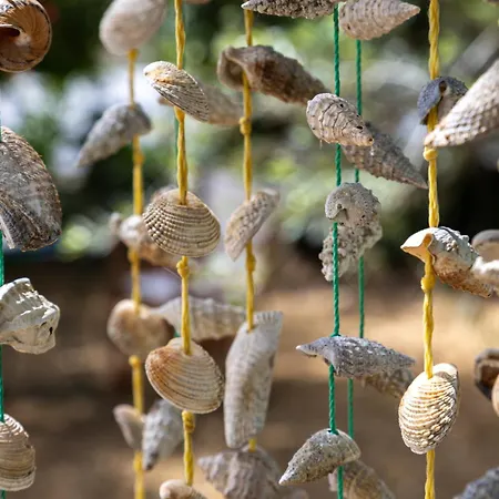 Σπίτι διακοπών Sea & Olives House *